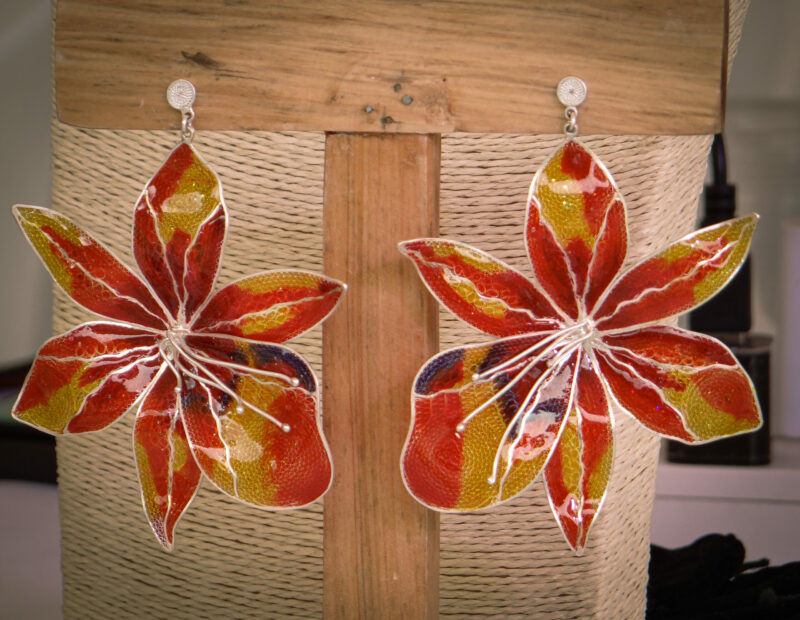 Orquídeas grandes - Image 6