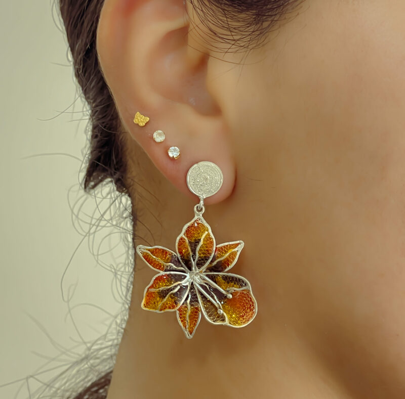 Orquídeas Tierra  Pintadas - Image 2