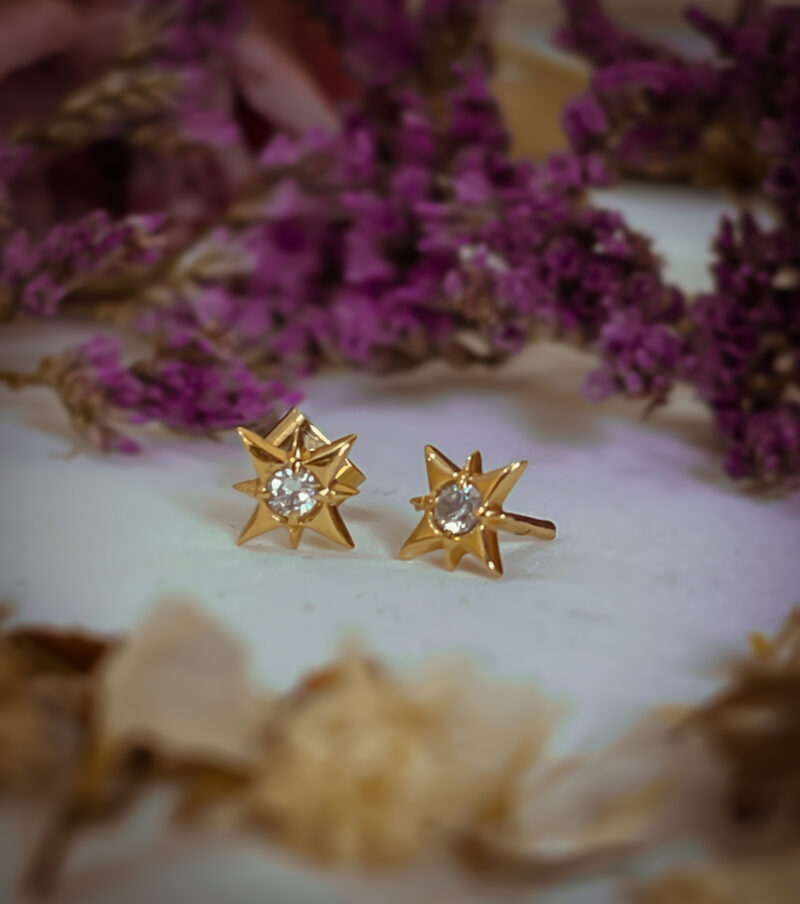 Ojo de estrella - Image 4