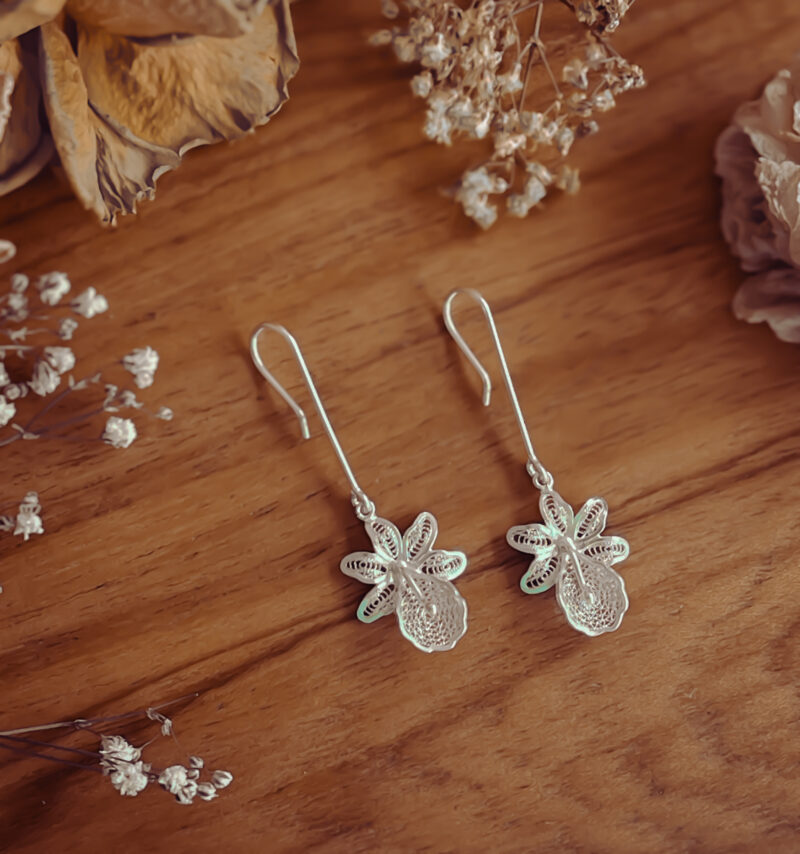 Orquídeas colgantes