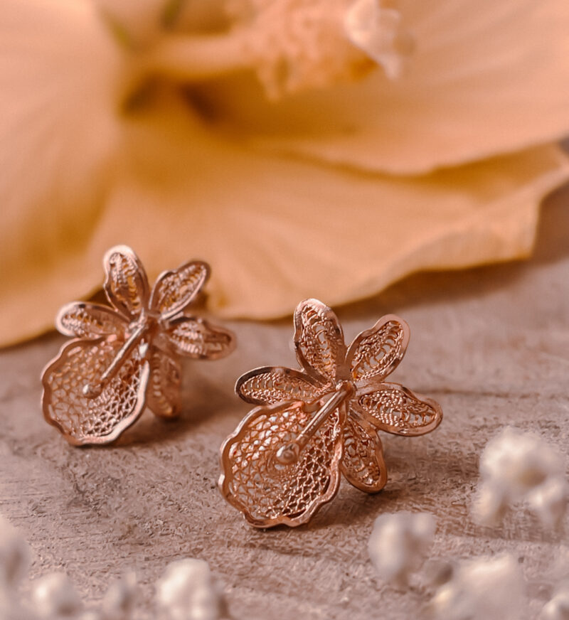 Baby orquídeas
