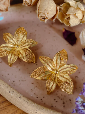 Orquídeas infinitas