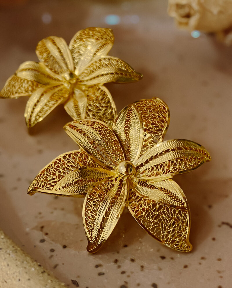Orquídeas infinitas - Image 3