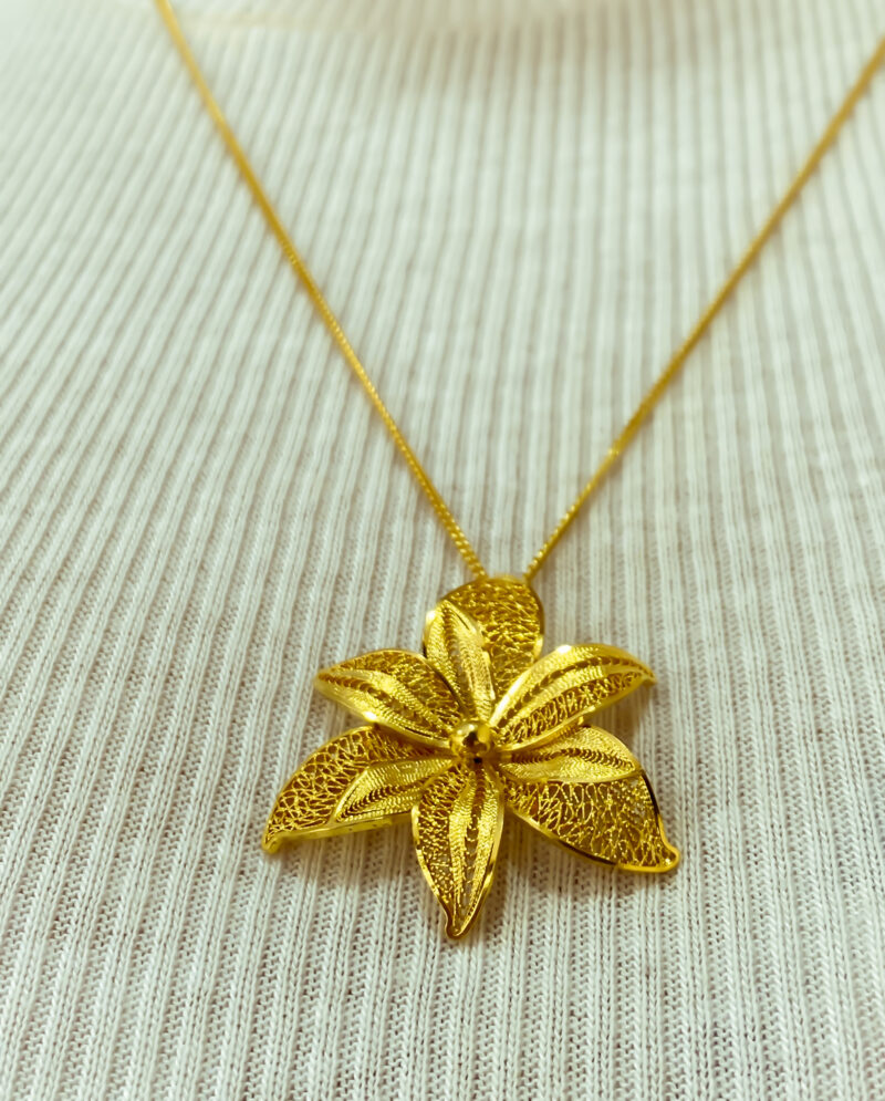 Orquídea Calanthe - Image 3