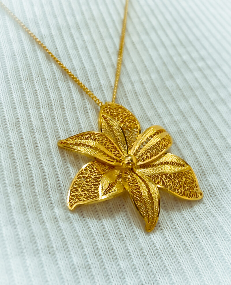 Orquídea Calanthe - Image 2